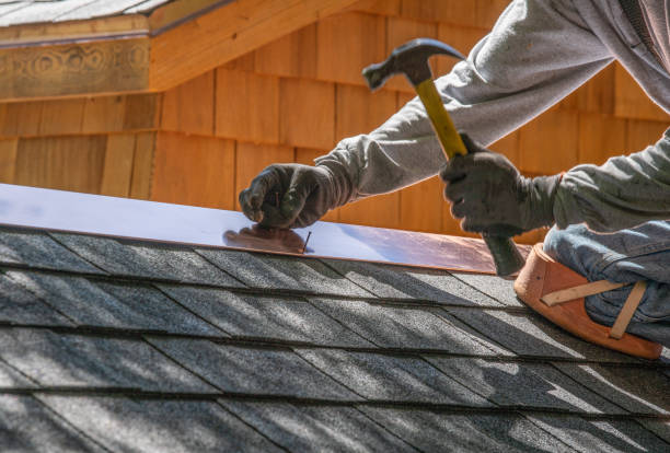 Best Roof Insulation Installation  in Citronelle, AL