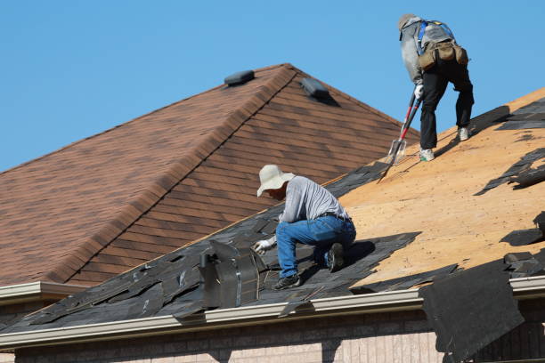 Best Roof Maintenance and Cleaning  in Citronelle, AL