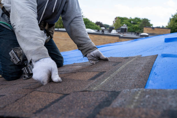 Best Chimney Flashing Repair  in Citronelle, AL
